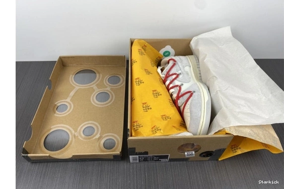 Nike DJ0950-103 Lot O-W Low Dunk 40 0125